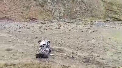 Erzurum-Tekman kara yolunun 2 bin 885 rakımlı Palandöken Geçidi’nde bugün