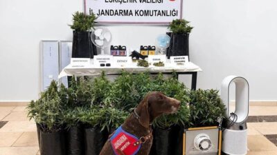Eskişehir İl Jandarma Komutanlığı ekipleri, Odunpazarı ilçesinde uyuşturucu suçlarıyla mücadele