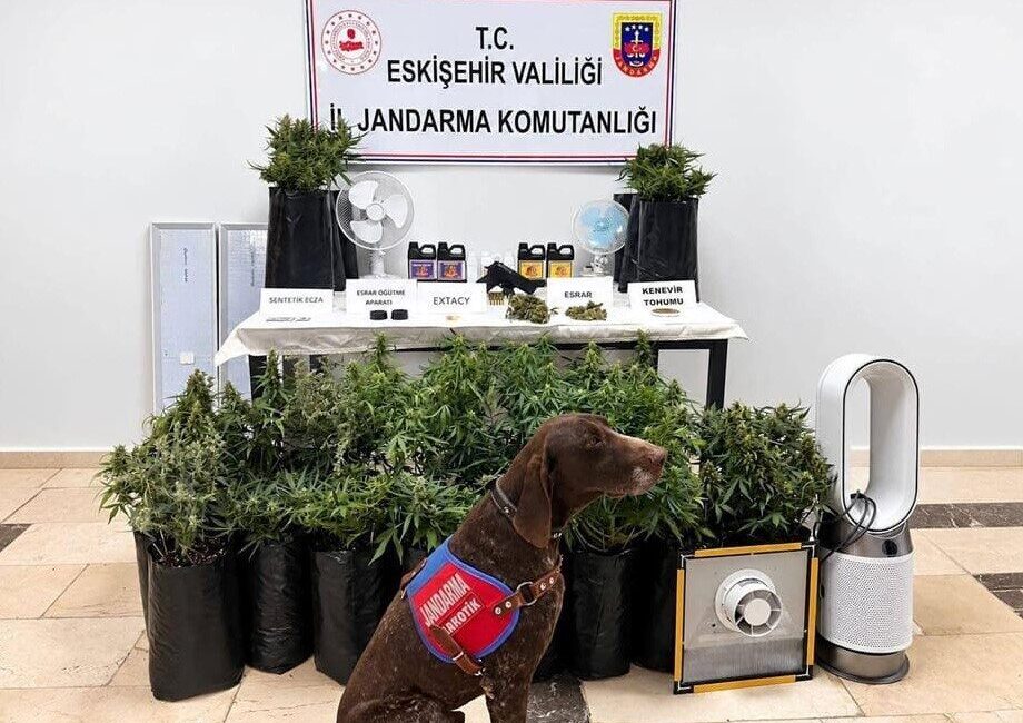 Eskişehir İl Jandarma Komutanlığı ekipleri, Odunpazarı ilçesinde uyuşturucu suçlarıyla mücadele