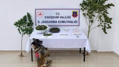 Eskişehir’de jandarma ekipleri tarafından gerçekleştirilen bir uyuşturucu operasyonunda narkotik maddeler
