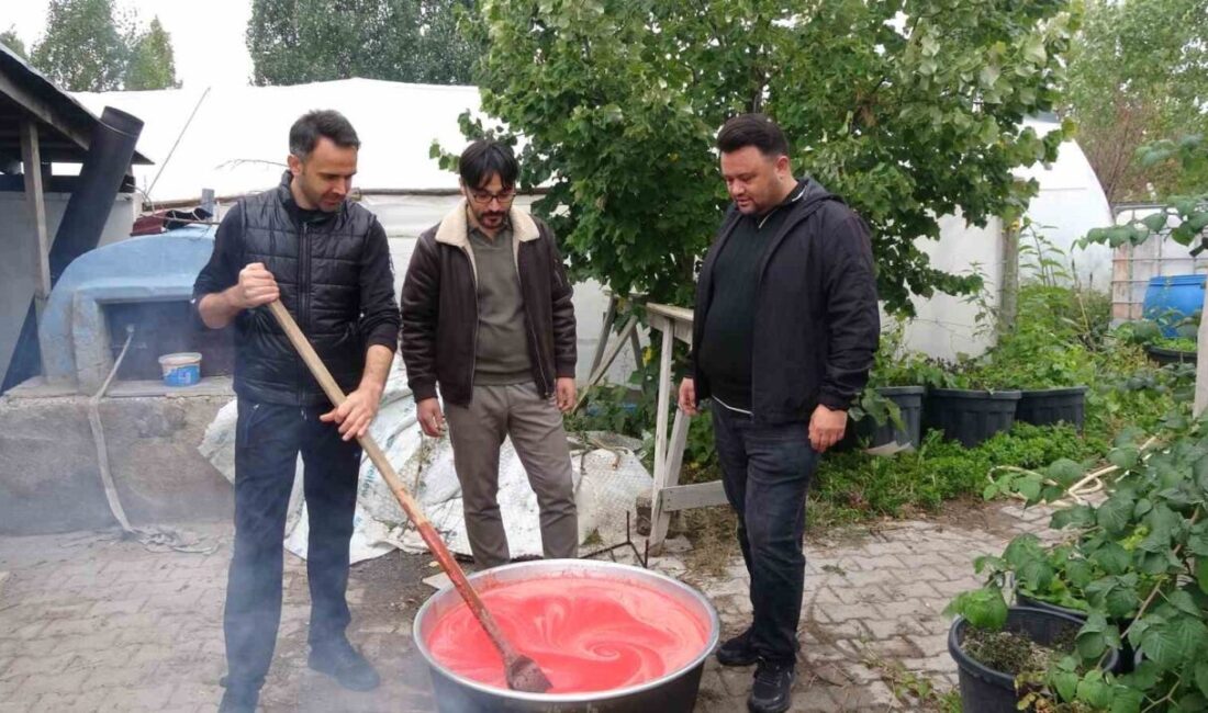 Yozgat’ın Sorgun ilçesinde yaşayan üç arkadaş, doğal, hijyenik ve ekonomik