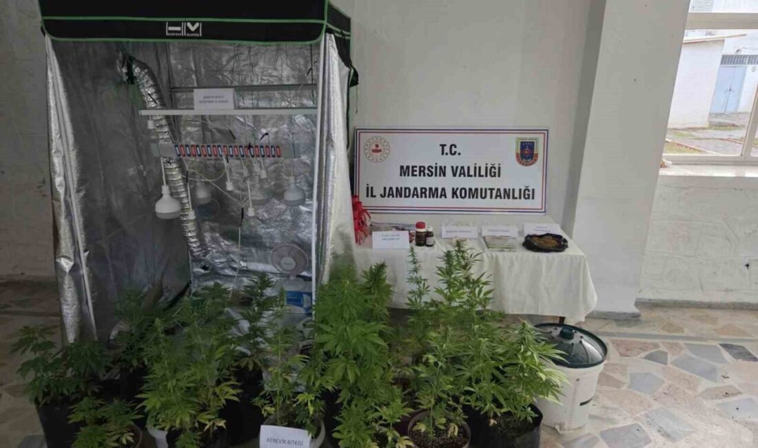 Mersin’in Anamur ilçesinde jandarma ekipleri, bir eve operasyon düzenledi ve