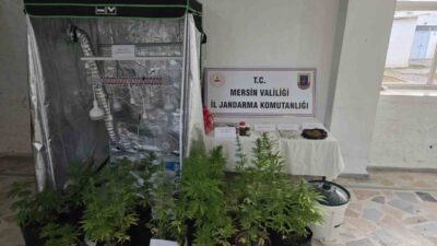Mersin’in Anamur ilçesinde jandarma ekipleri, bir eve operasyon düzenledi ve