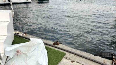 Fatih Cibali Sahili’nde, deniz polisi ekiplerince bir erkek cesedi bulundu.