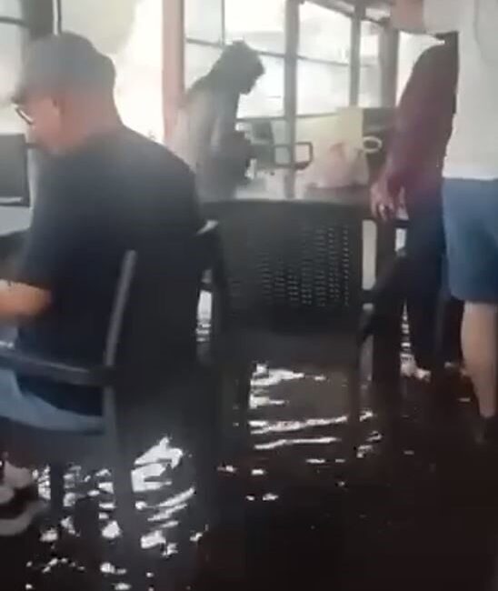 Fethiye ilçesinde dün akşam meydana gelen şiddetli yağışlar, bazı bölgelerde