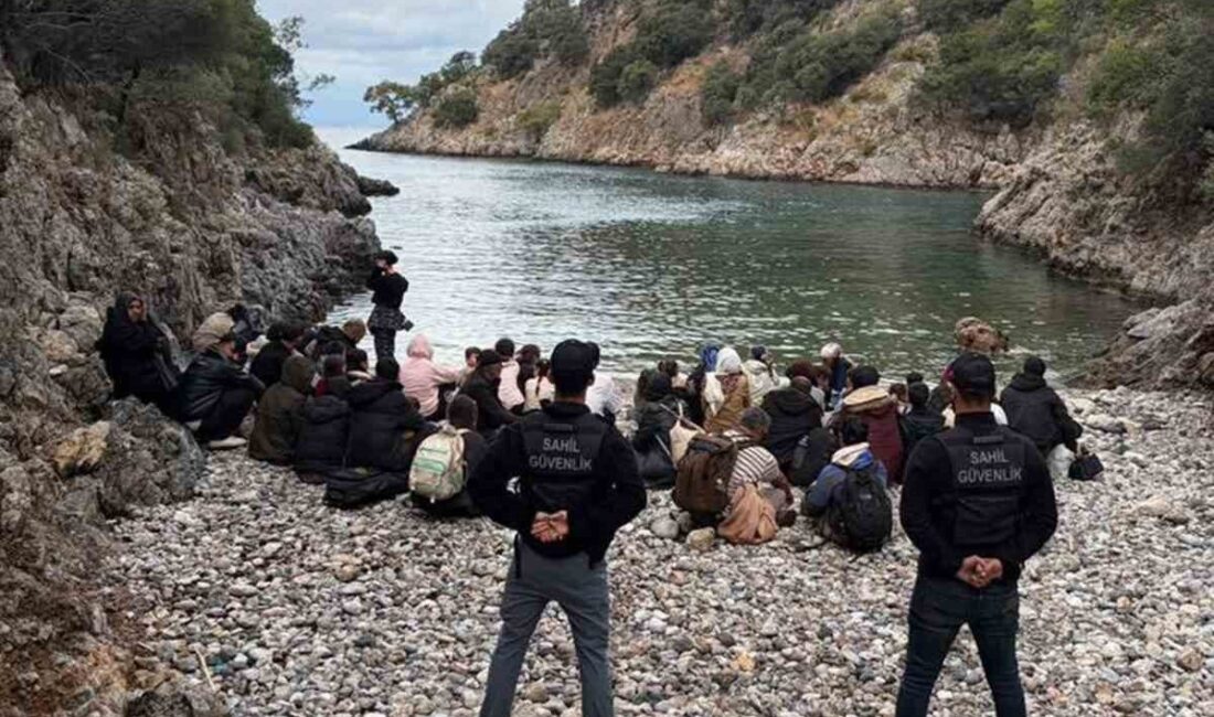 Muğla’nın Fethiye ilçesine bağlı Dalyan Deresi Koyu’nda, yasa dışı yollardan