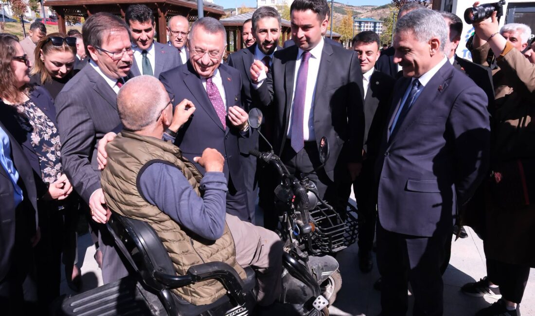 1. Dönem Cumhurbaşkanı Yardımcısı, TBMM Dışişleri Komisyonu Başkanı ve Ankara