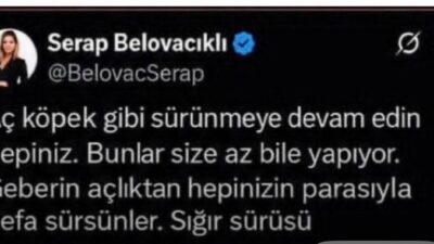 Bakırköy Cumhuriyet Başsavcılığı, gazeteci Serap Belovacıklı hakkında, sosyal medya hesabı