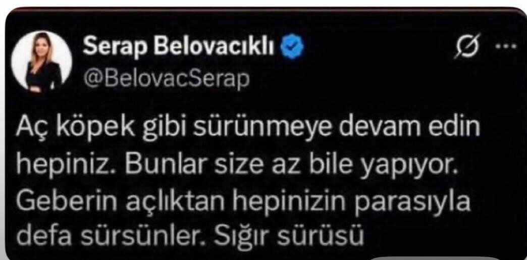 Bakırköy Cumhuriyet Başsavcılığı, gazeteci Serap Belovacıklı hakkında, sosyal medya hesabı