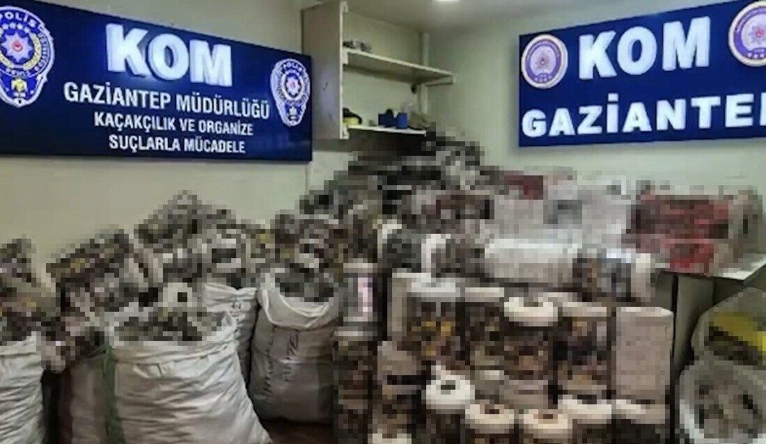 Gaziantep’te, polis ekipleri tarafından gerçekleştirilen bir operasyonda 14 bin paket