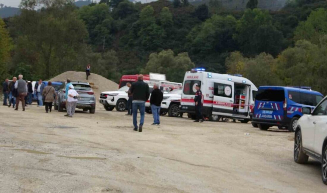 Giresun ilinde Aksu Deresi kıyısında hareketsiz bir şekilde bulunan 68