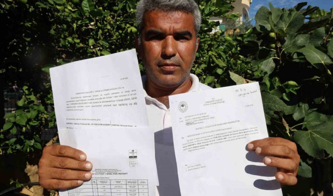 Adana’nın Kozan ilçesinde çiftçilik faaliyeti yürüten bir çiftçi, komşusunun mısır