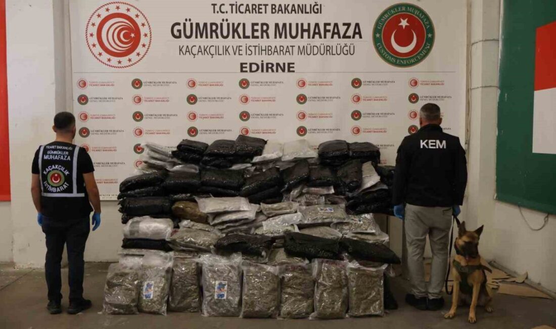 Ticaret Bakanlığı Gümrükler Muhafaza ekipleri, Eylül ayında Artvin’deki Sarp Gümrük