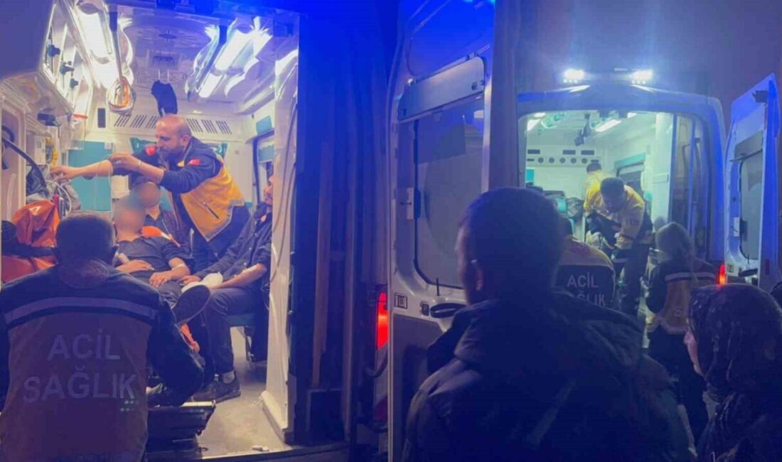 Hakkâri’de düzensiz göçmenleri taşıyan minibüsün kontrolden çıkarak dereye uçması sonucu
