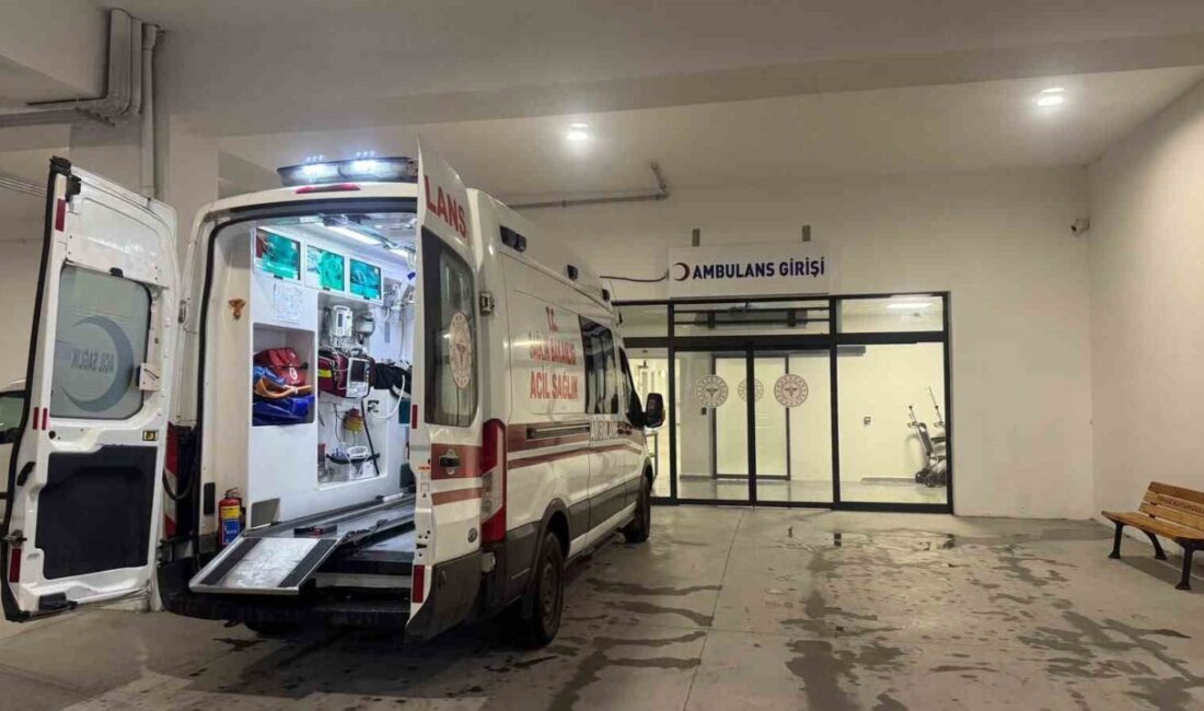 Alaplı ilçesine bağlı Aşağıdağ köyü Yukarıdan Mahallesi’nde, yaklaşık 25 yıl