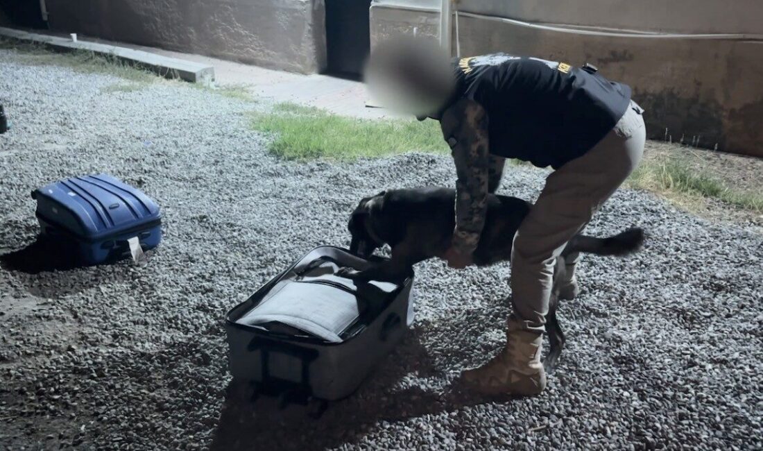 Iğdır’da polis ekiplerince uyuşturucu madde ticaretine yönelik yürütülen operasyonlarda toplam