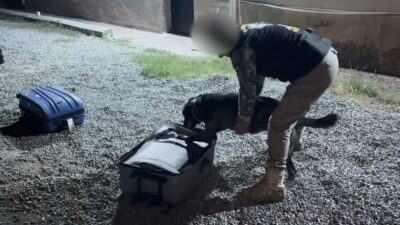 Iğdır’da polis ekiplerince uyuşturucu madde ticaretine yönelik yürütülen operasyonlarda toplam