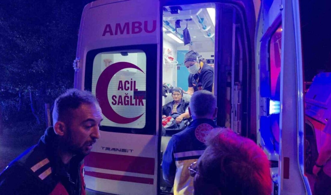 Sakarya’nın Akyazı ilçesinde, Alzheimer hastası 58 yaşındaki Havva Boğaz’ın 2