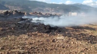 Gaziantep’in İslahiye ilçesinde hastane yakınındaki bir tarlada çıkan ve paniğe