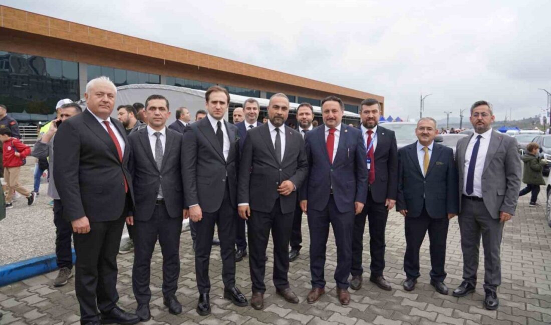 İstanbul Milletvekili ve Türkiye-Avrupa Birliği Karma Parlamento Komisyonu Türk Grubu