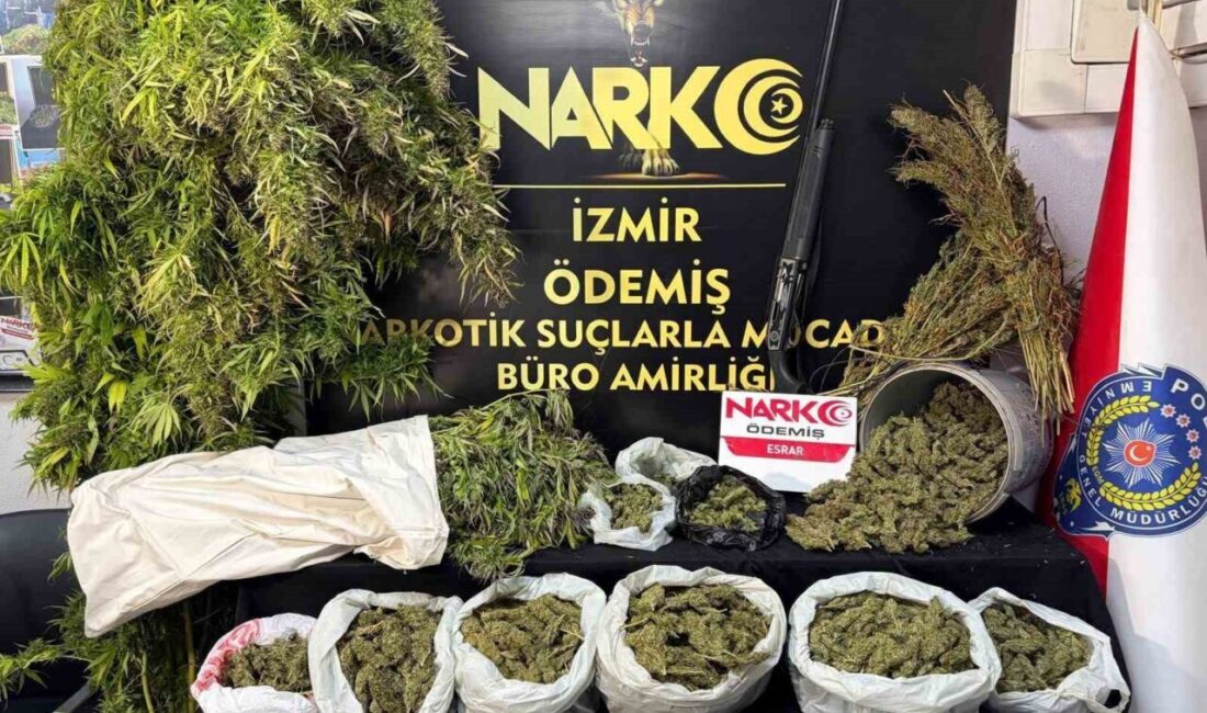 İzmir’in Ödemiş ve Buca ilçelerinde polis ekipleri tarafından uyuşturucu ticaretiyle