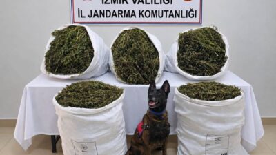İzmir’in Tire ilçesinde jandarma ekipleri tarafından düzenlenen operasyonda 54 kilo