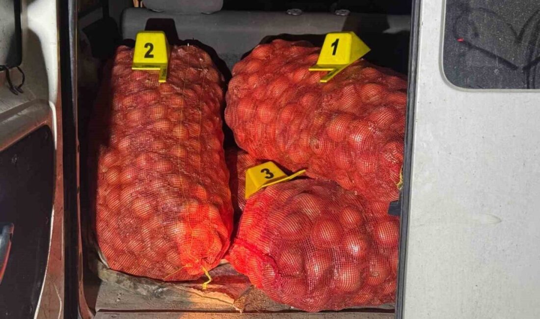 Emirdağ ilçesinde, hale götürülmek üzere çuvallara konulmuş 250 kilogram soğanı