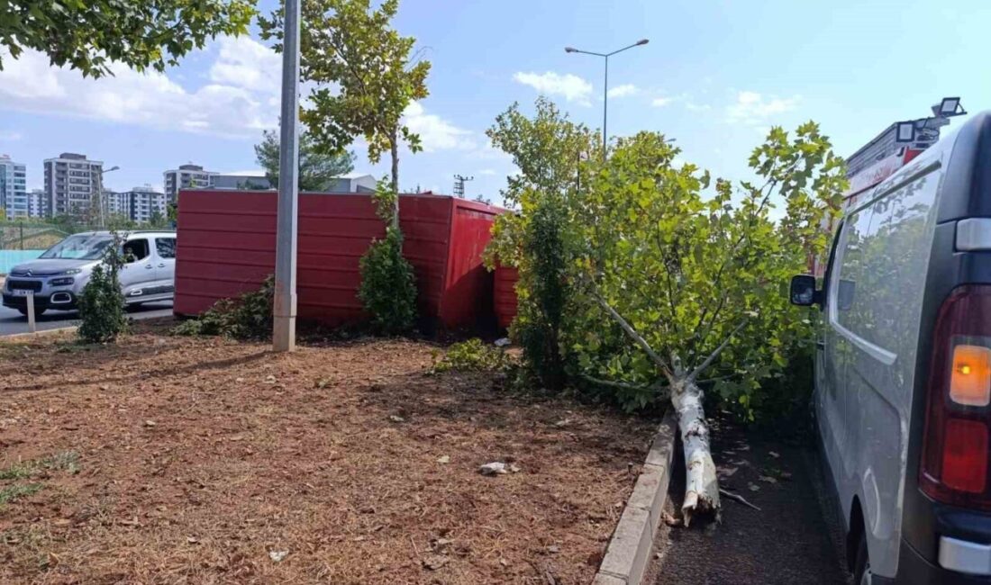 Diyarbakır’ın Sur ilçesine bağlı Özdemir Mahallesi Mardin Yolu Çöp Arıtma