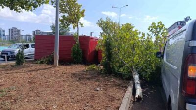 Diyarbakır’ın Sur ilçesine bağlı Özdemir Mahallesi Mardin Yolu Çöp Arıtma