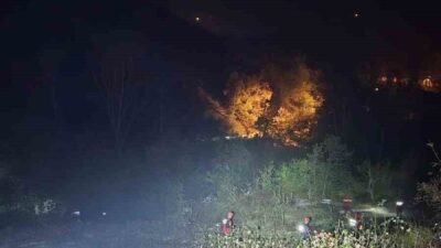 Karabük ilinin Yenice ilçesinde, okuldan çıktıktan sonra ormanlık alana giden