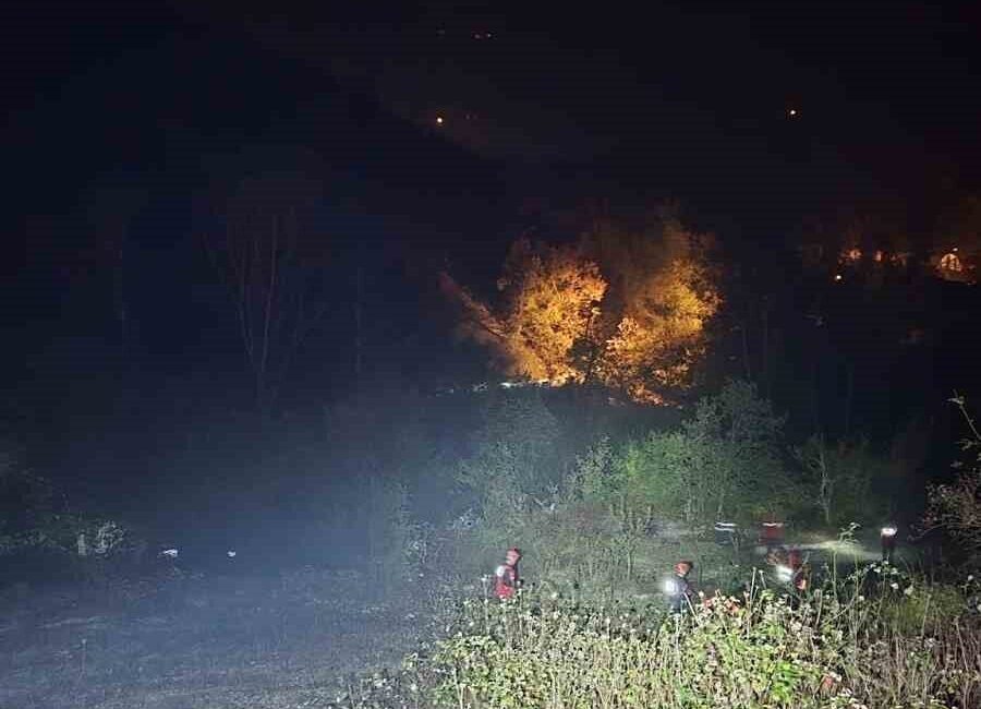 Karabük ilinin Yenice ilçesinde, okuldan çıktıktan sonra ormanlık alana giden