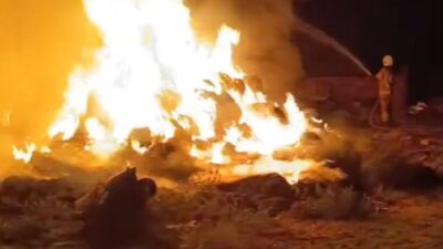 Bursa’nın Karacabey ilçesinde bir çiftlikte gece yarısı meydana gelen yangın,