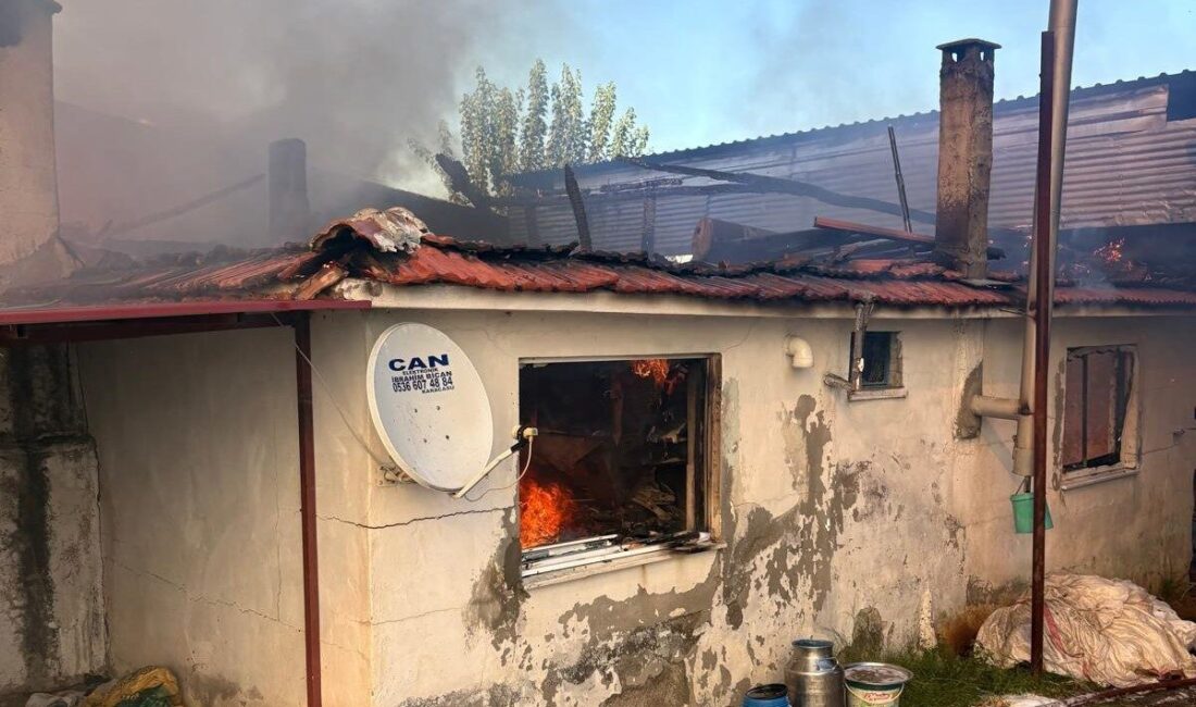 Aydın’ın Karacasu ilçesinde meydana gelen yangında bir ev ile hayvan