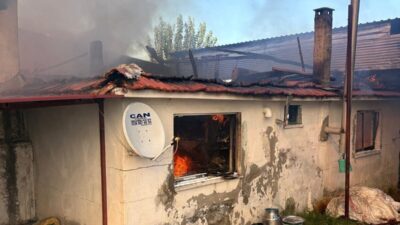 Aydın’ın Karacasu ilçesinde meydana gelen yangında bir ev ile hayvan