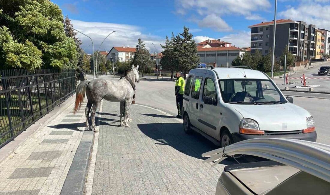 Karaman’ın Valilik Kavşağı’nda meydana gelen olayda, sahibine ait at bağlı