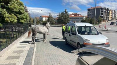 Karaman’ın Valilik Kavşağı’nda meydana gelen olayda, sahibine ait at bağlı