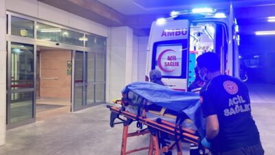 Karaman ilinde bir kadın, hafif ticari aracın çarpması sonucu yaralandı.