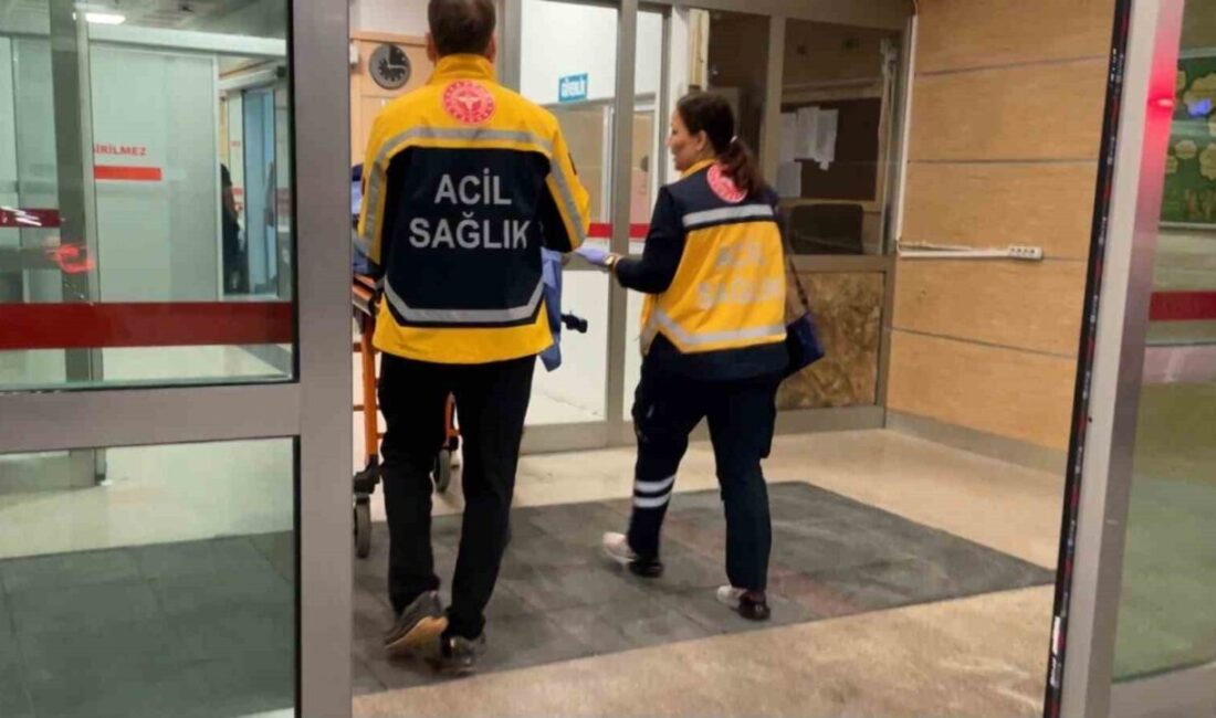 Karaman’da, Mümine Hatun Mahallesi’ndeki 75. Yıl Parkı’nda meydana gelen olayda,