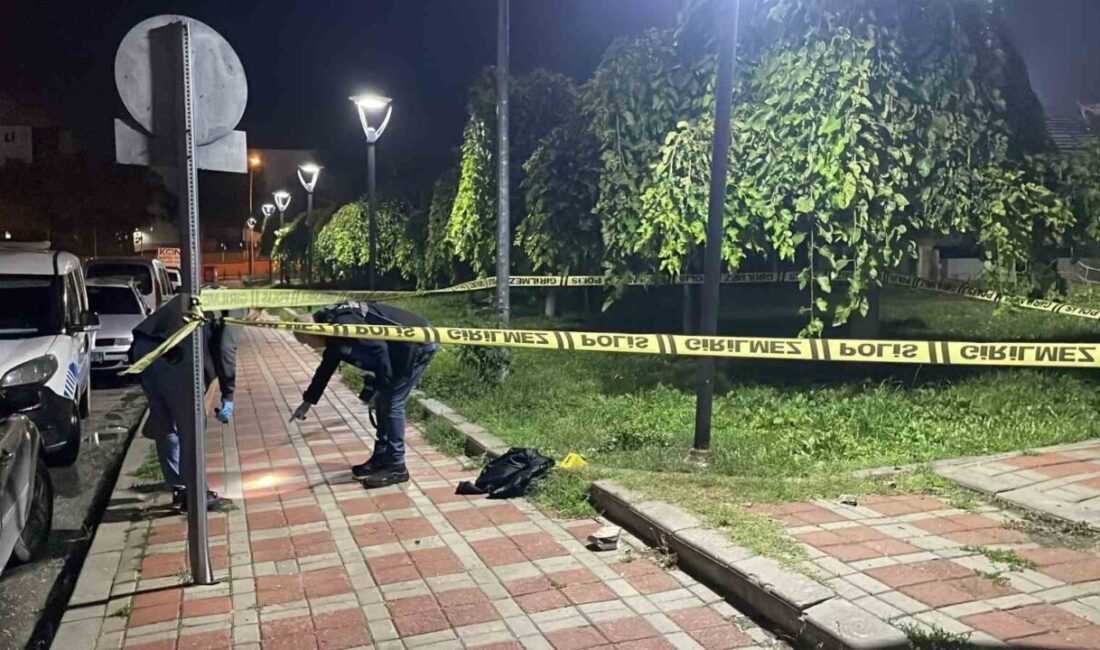 Karaman’da Alparslan Türkeş Parkı’nda meydana gelen bıçaklı kavgada 2 genç