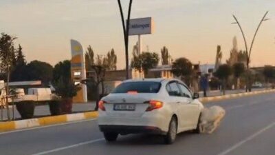 Manisa’nın Akhisar ilçesinde bir otomobilin yola çıkan koyun ve keçilere
