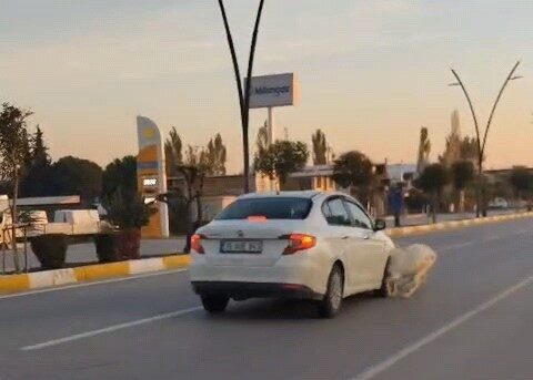 Manisa’nın Akhisar ilçesinde bir otomobilin yola çıkan koyun ve keçilere