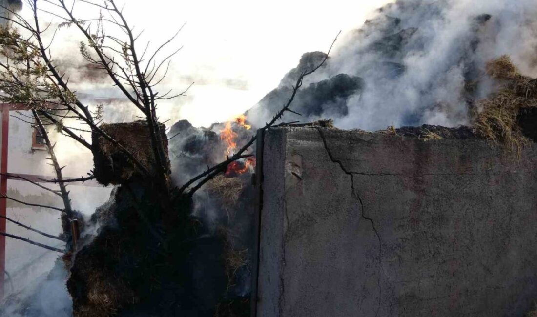 Kastamonu’da Halife Kalfa köyünde bir saman karma makinesinde çıkan yangın,