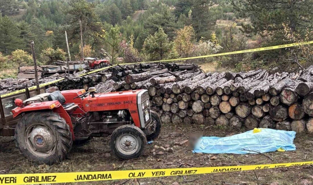 Kastamonu’nun Tosya ilçesinde, cami imamına odunla vurarak öldüren şüpheli yakalandı.