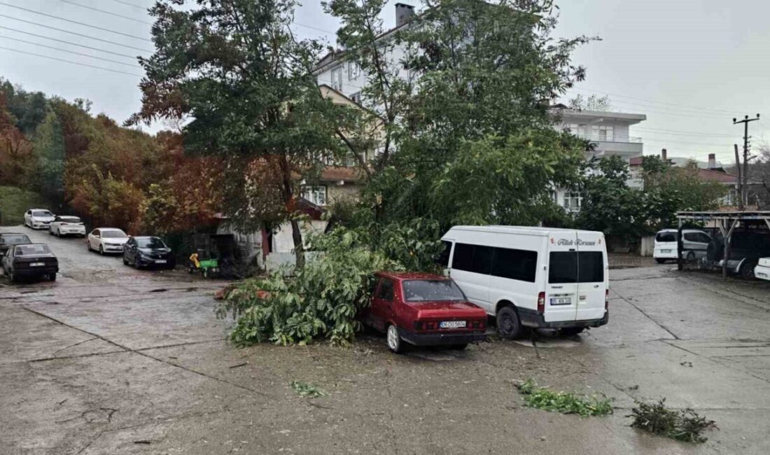 Kastamonu’nun Cide ilçesinde meydana gelen şiddetli fırtına nedeniyle bazı evlerin