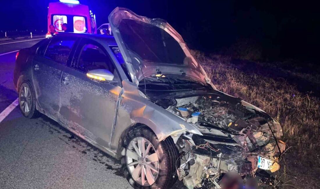 Kastamonu’nun Hanönü ilçesinde, bir domuz sürüsüne çarpan araçta bulunan 2