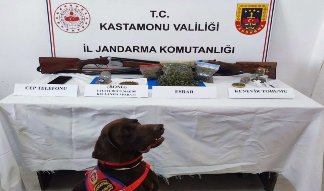 Kastamonu’da Jandarma ekipleri tarafından gerçekleştirilen uyuşturucu operasyonlarında 6 şüpheli gözaltına