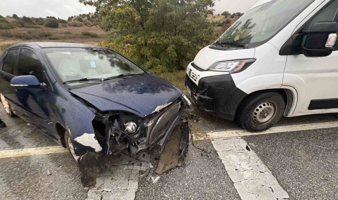 Tosya ilçesinde meydana gelen trafik kazasında, D100 karayolunda yağış nedeniyle