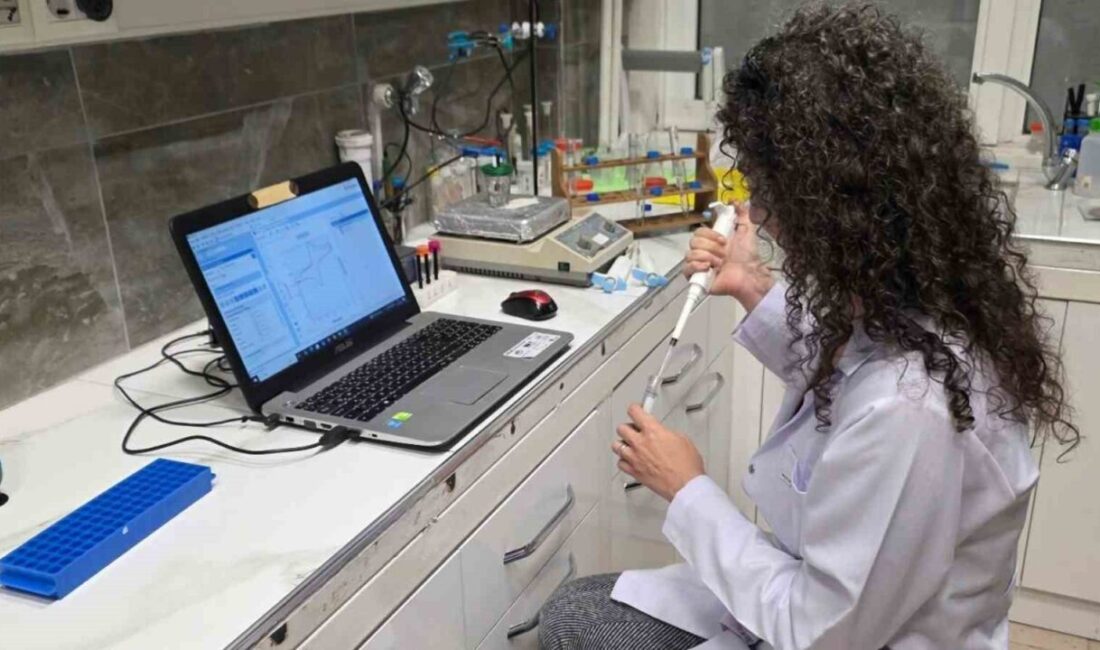 Karabük Üniversitesi (KBÜ) akademisyeni Doç. Dr. İrem Okman Koçoğlu, tarımsal