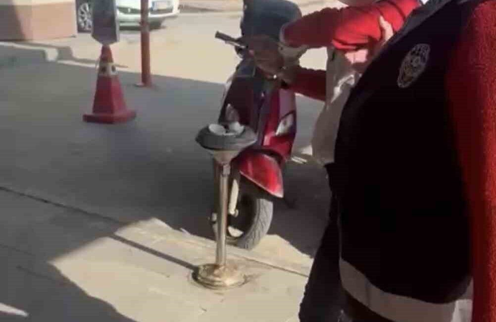 Adıyaman’da çöpte karnını doyurmaya çalışan kediye taş atarak vuran kadın