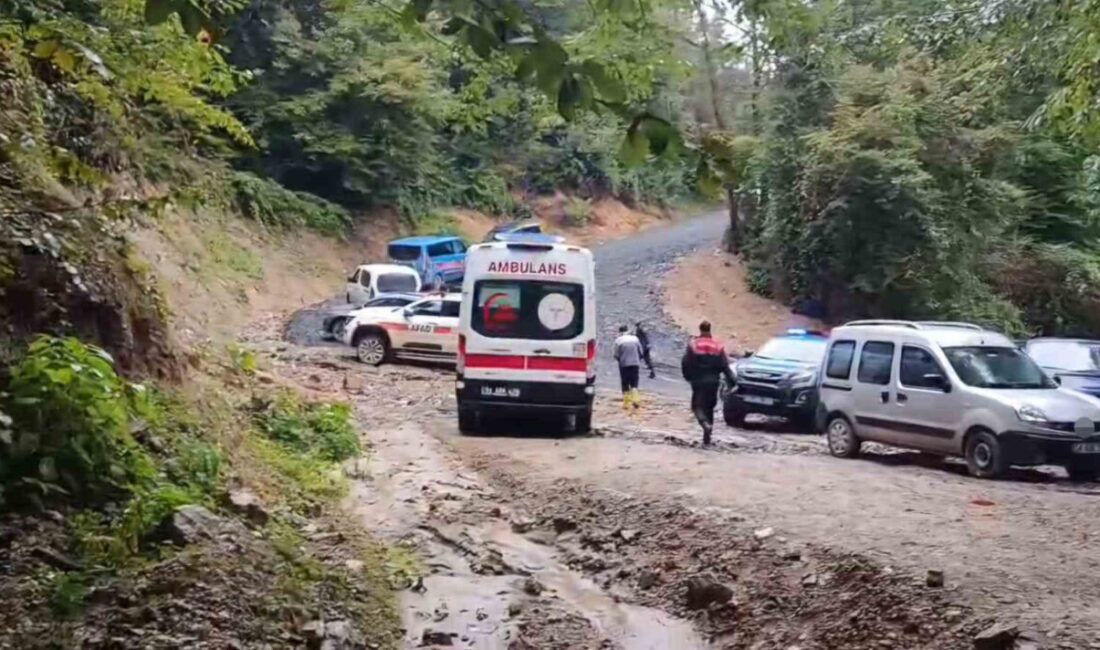 Sakarya’nın Sapanca ilçesinde, kestane toplamak için ormanlık alana giden 66